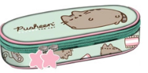 Piórnik szaszetka usztywniony z klapą Pusheen Mint