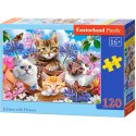 CASTORLAND Puzzle układanka 120 elementów Kittens with Flowers - Koty w kwiatach 6+