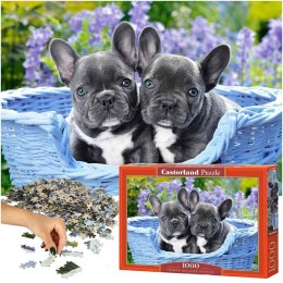 CASTORLAND Puzzle układanka 1000 elementów French Bulldog Puppies - Buldogi francuskie 68x47cm