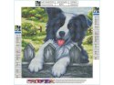 Haft Diamentowy Border Collie Mozaika Diamond Painting, PIES 30x30cm